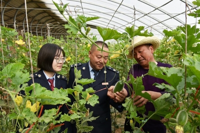 戈壁灘上“菜園子”直通“菜籃子”，水產養殖助力現代農業展宏圖